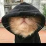 UWARIRAYE's profile picture
