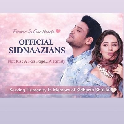 TrueSidNaaz's profile picture
