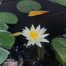 yanxupeng 的头像