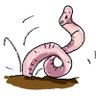 Profilbild von Mystery Worm