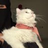 Profilbild von SALMA