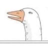 Profilbild von Alan