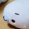 みーにゃー profil fotoğrafı