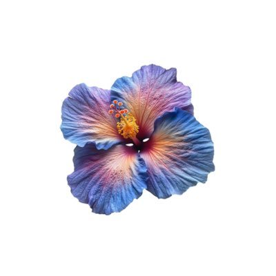 enhypen, always 7.'s profile picture