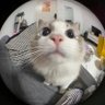 R.G profil fotoğrafı