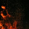 iampp_'s profile picture