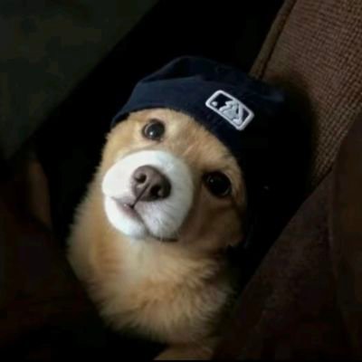 远山tk(深圳版)'s profile picture