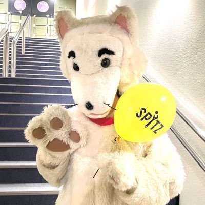 スピッツUMStaff's profile picture