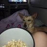 fleabag 的头像