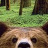 BEÆR 的头像