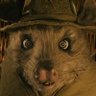 skillhouse's profile picture