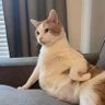 leo profil fotoğrafı