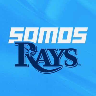 raysbeisbol's profile picture