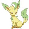 Фото профиля 🌿🍃Leafeon Abe🍃🌿