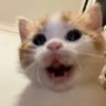 Eferhy's profile picture