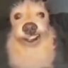ripdan25's profile picture