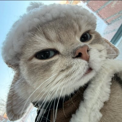 阿棠在路上's profile picture