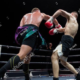 FightKO's profile picture