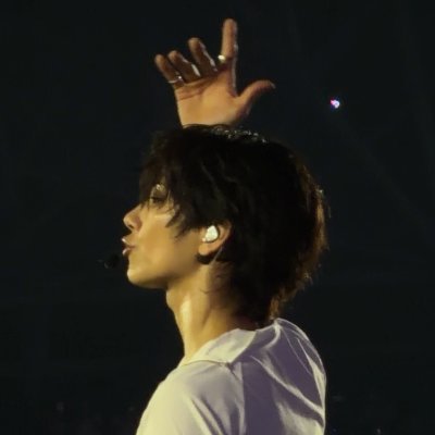 hongshuji's profile picture