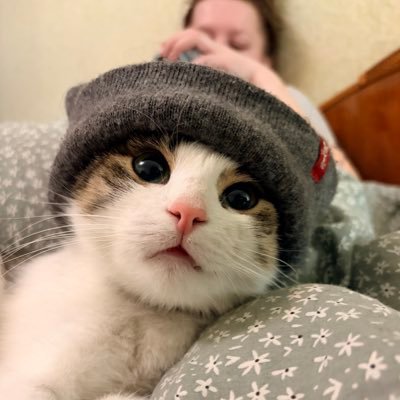Alina P.'s profile picture