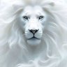 Ayoob's profile picture