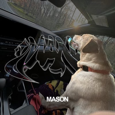 N4CS's profile picture