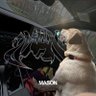 mason 的头像