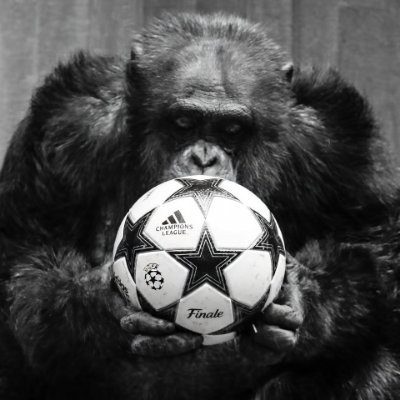 Lencii_ (Viuda del Bodo/Glimt 🇳🇴 )'s profile picture