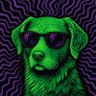Rad Dog's profile picture