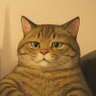 Situation Surveiller profil fotoğrafı