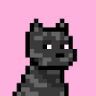 Whiz's profile picture