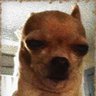 Profilbild von good oak