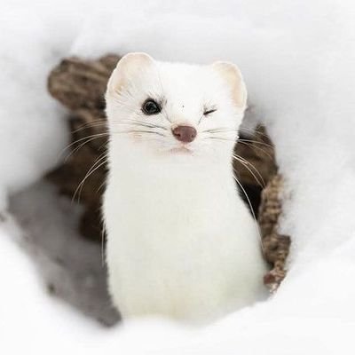 chloriss3's profile picture