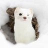 조용's profile picture