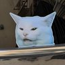 Catcatcat=^••^= 的头像