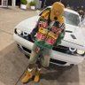 ๐
ฟ๏ธ's profile picture