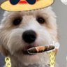 Dominerclips's profile picture