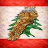 Dania Kh. 🇱🇧 10452km2 💛 profil fotoğrafı