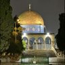Фото профиля ابو حفص A