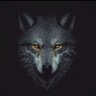معاوية الجولاني's profile picture