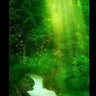 Фото профиля ameer ali