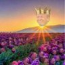 Vinny's profile picture