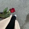 مروى 🦋's profile picture