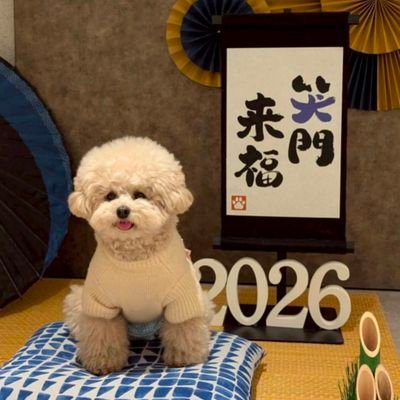 愛犬むぎちゃんと在宅ワークで月10万♡'s profile picture