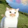 Profilbild von eva