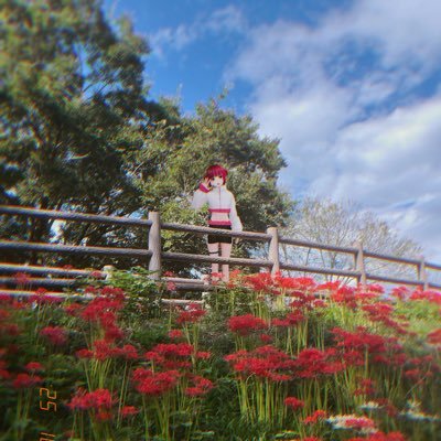 藤林檎's profile picture