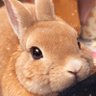 🚃🩷各駅停車♥(謎の用務員)'s profile picture