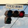 絶賛尊死中 的头像