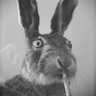 Profilbild von Fengos