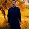 Hija Gul habib's profile picture